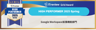 ITreview2025-highperformer