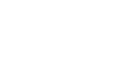 SECURITY REVIEW