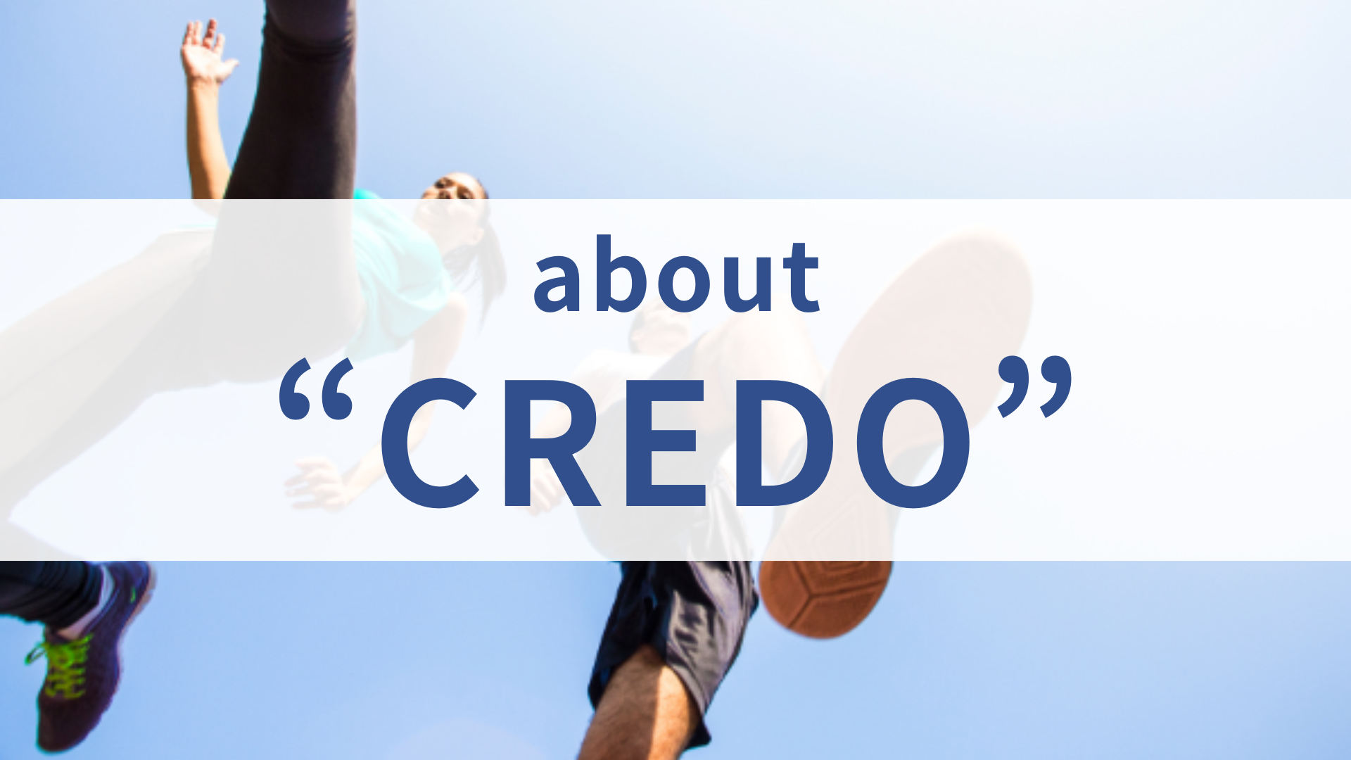 about CREDO 採用ページ